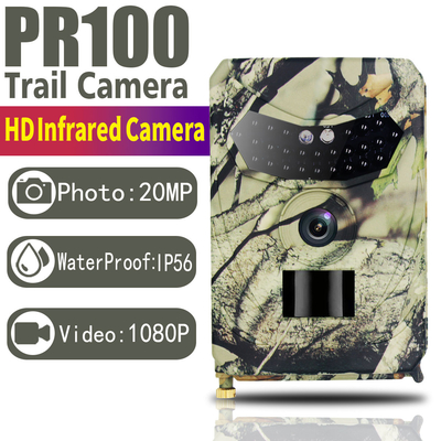 Cartão Hunter Trail Camera do TF