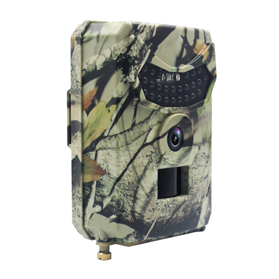 Cartão Hunter Trail Camera do TF
